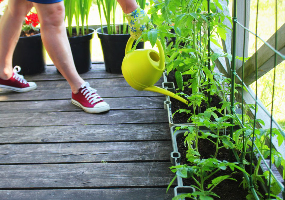 potage sur un balcon