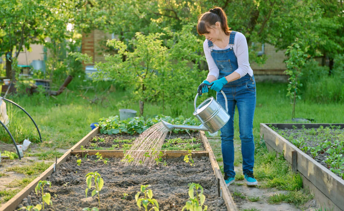 potager