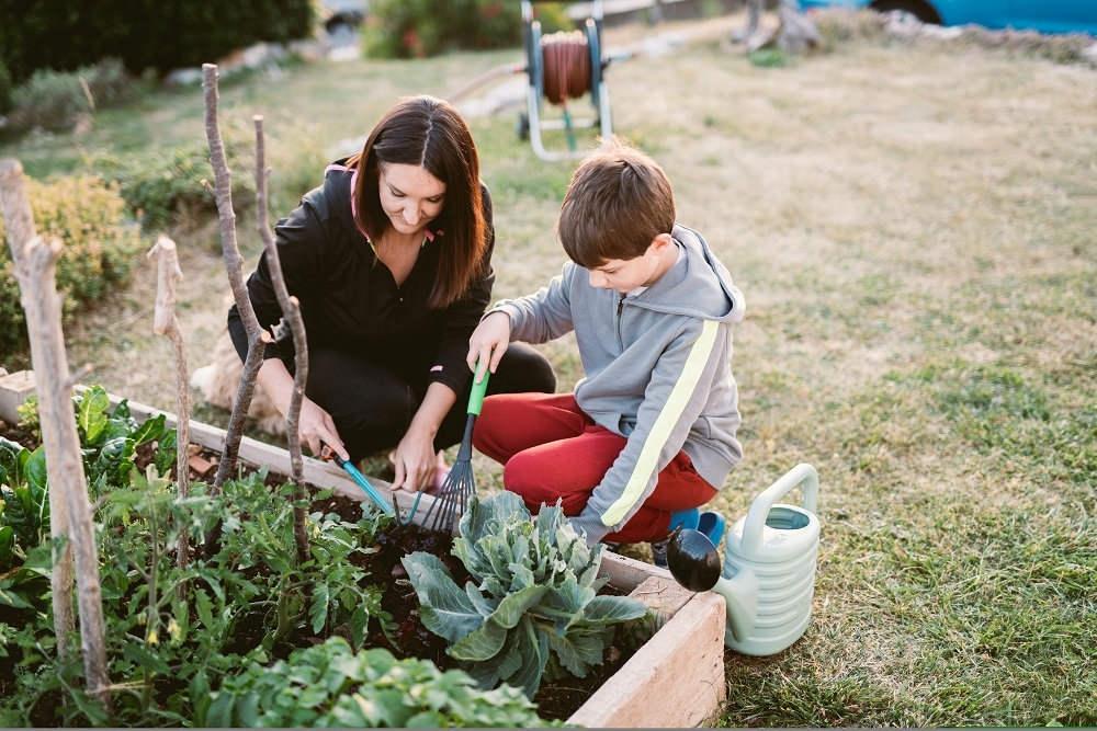 potager écologique