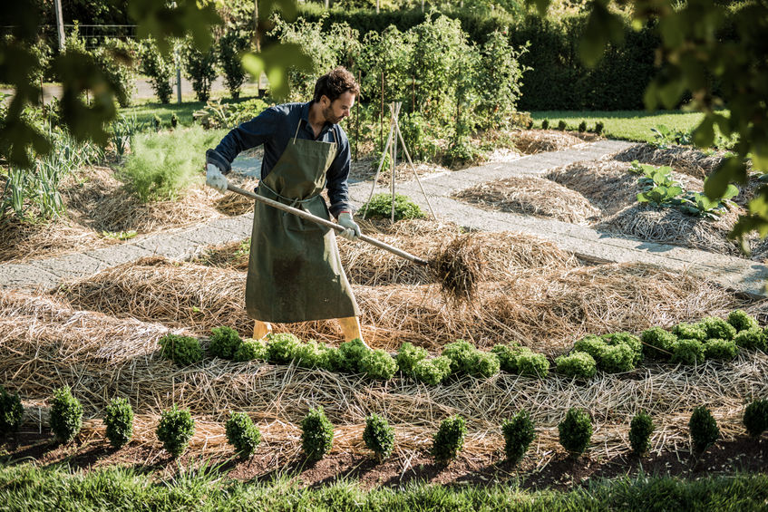 potager extérieur