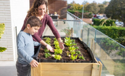 potager urbain