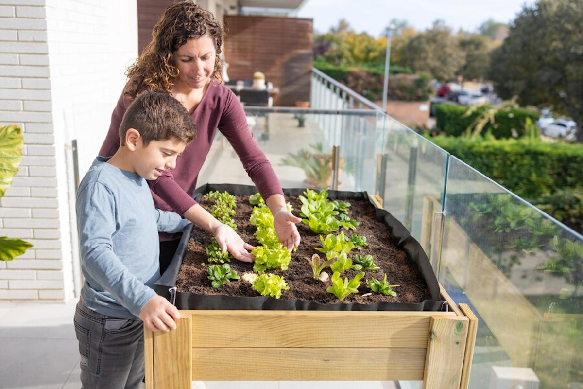 potager urbain