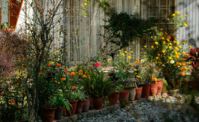 pots fleurs