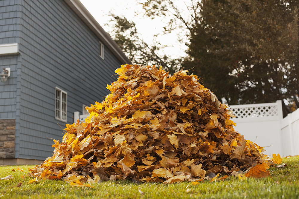 ramassage des feuilles efficace