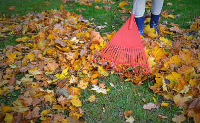 ramasser les feuilles