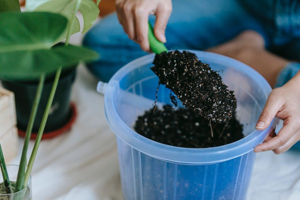 Comment faire un jardin à l'intérieur de la maison