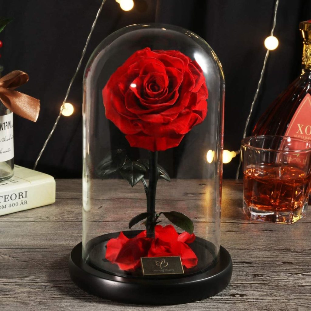 Adoptez la rose éternelle sous cloche dans votre maison