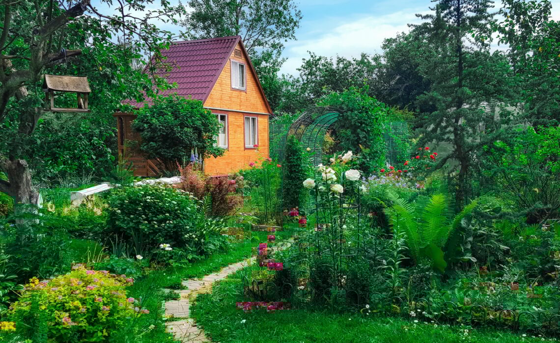 jardin maison en bois
