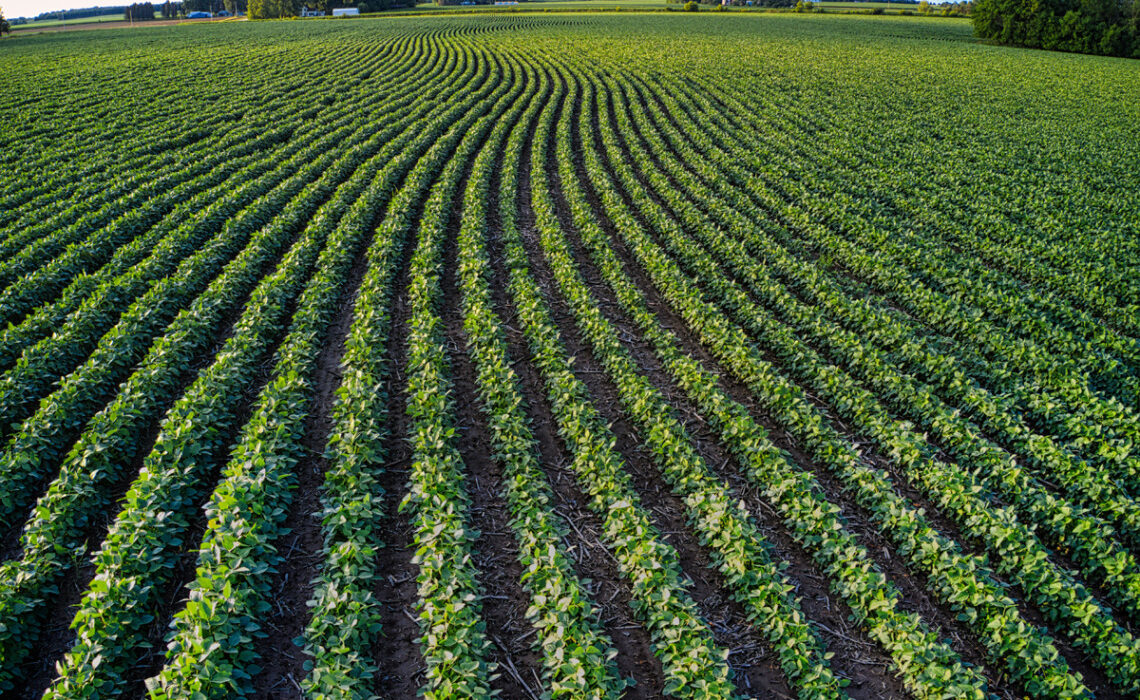 terrain agricole