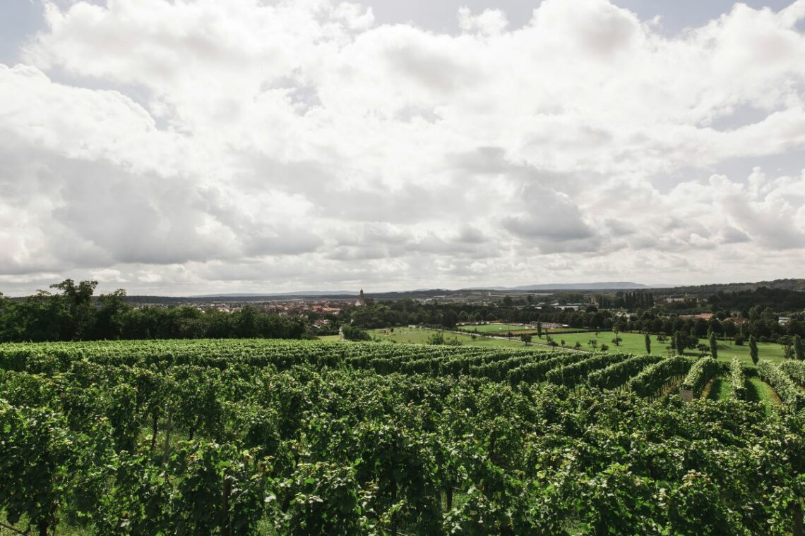terrain agricole