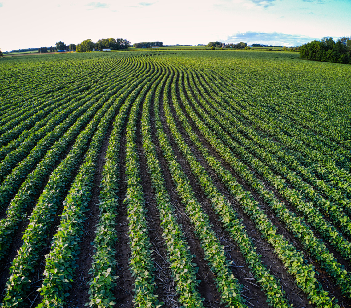 terrain agricole