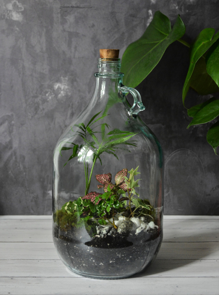 terrarium