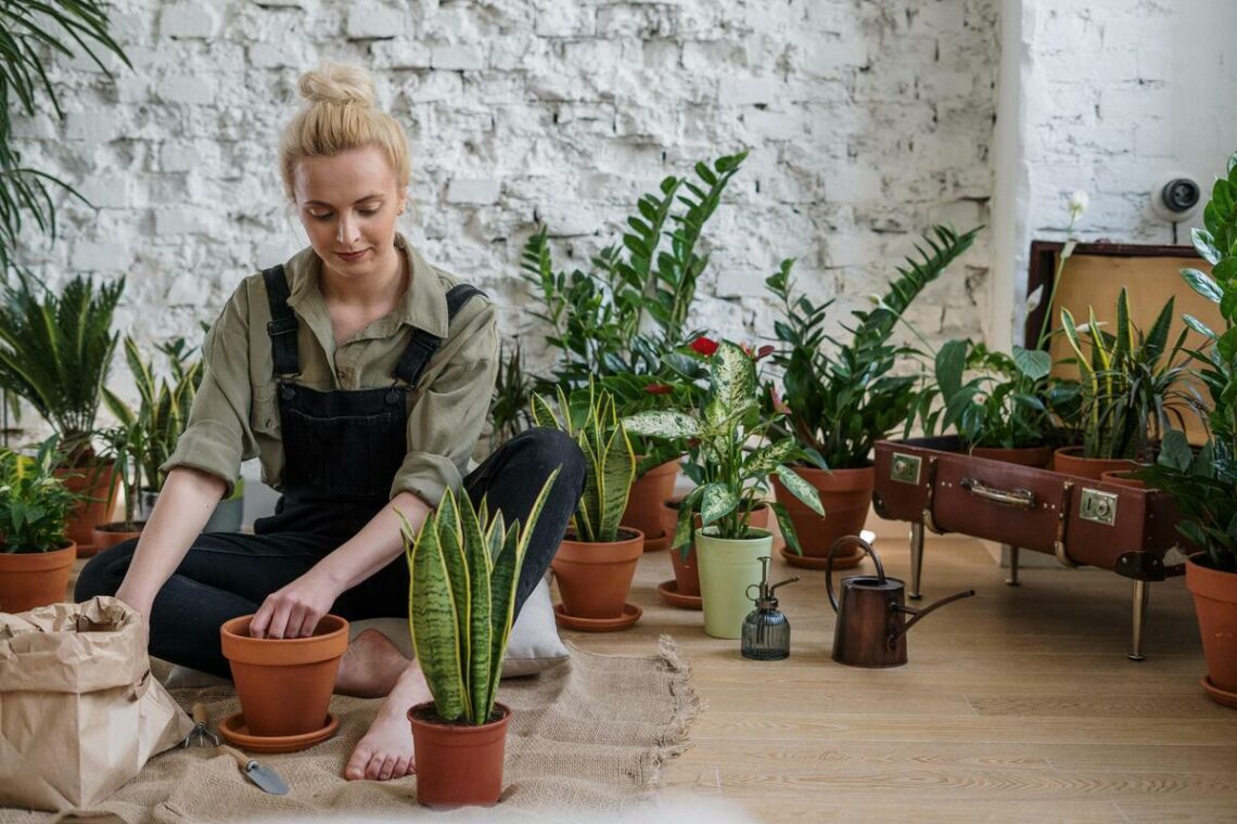 Conseils pour avoir une terre de jardin de qualité