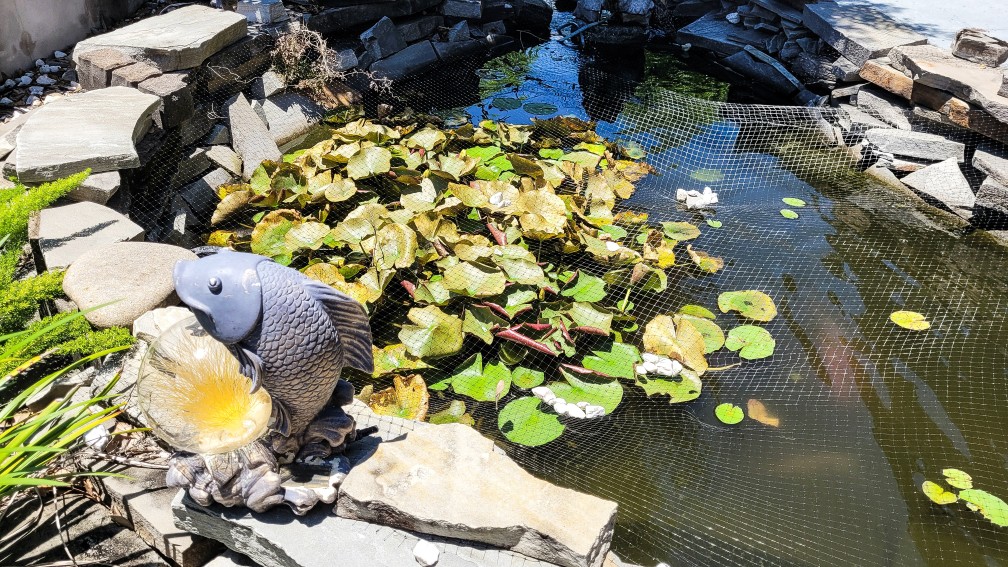 une bâche de bassin