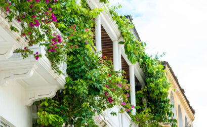 végétaliser petit espace